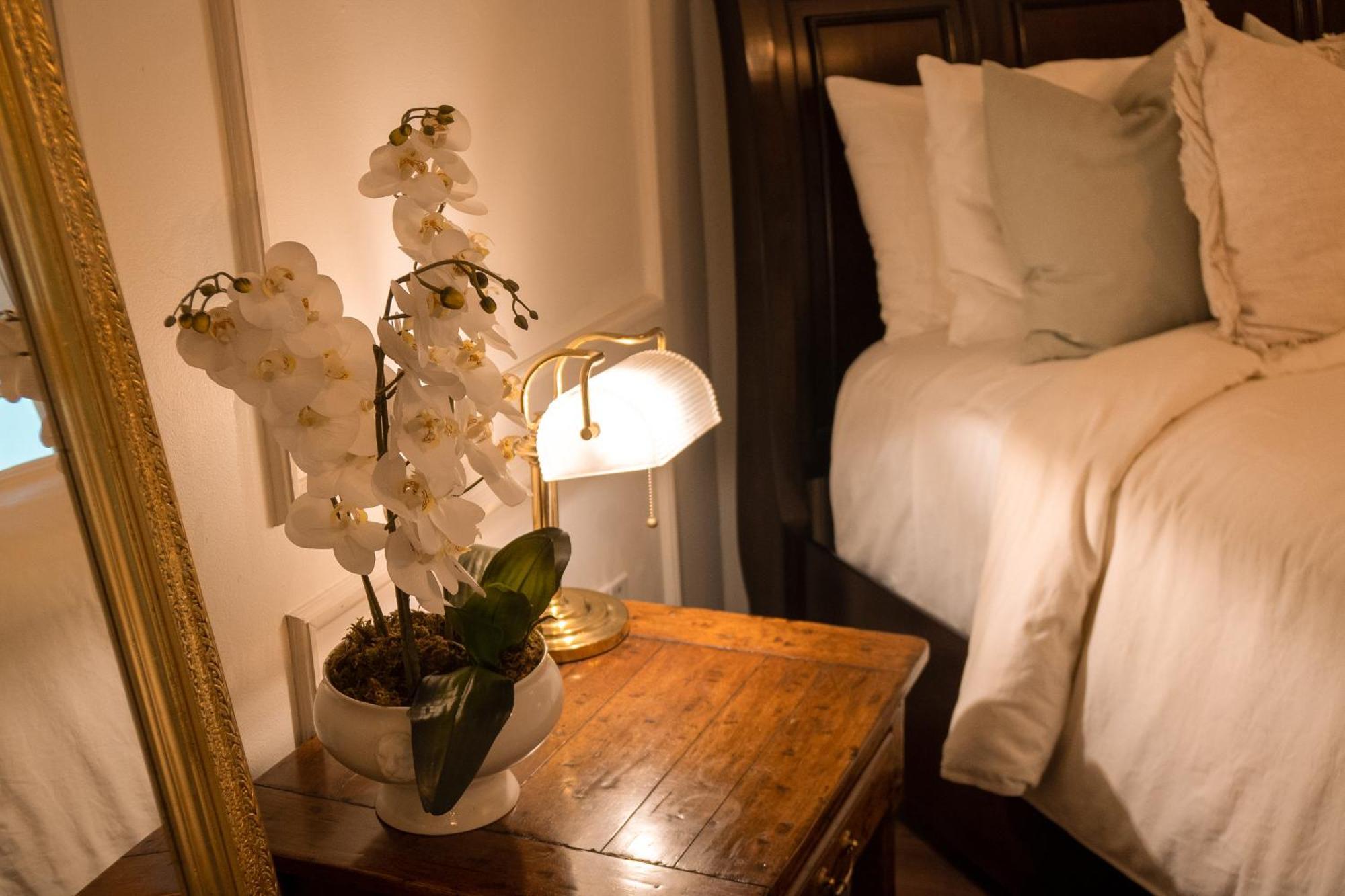 Mansion Papilio Bed & Breakfast Mexico City Exterior photo